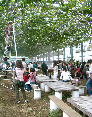 果樹園