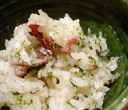 saku-kinmeg.jpg