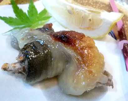 sunaga-ashi.jpg