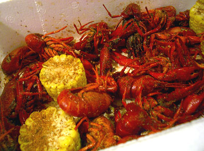 crawfish